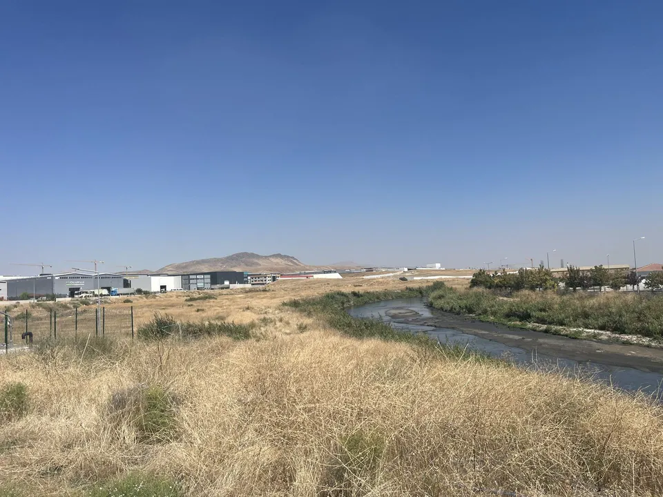 Kuru otlarla çevrili akarsu habitatı