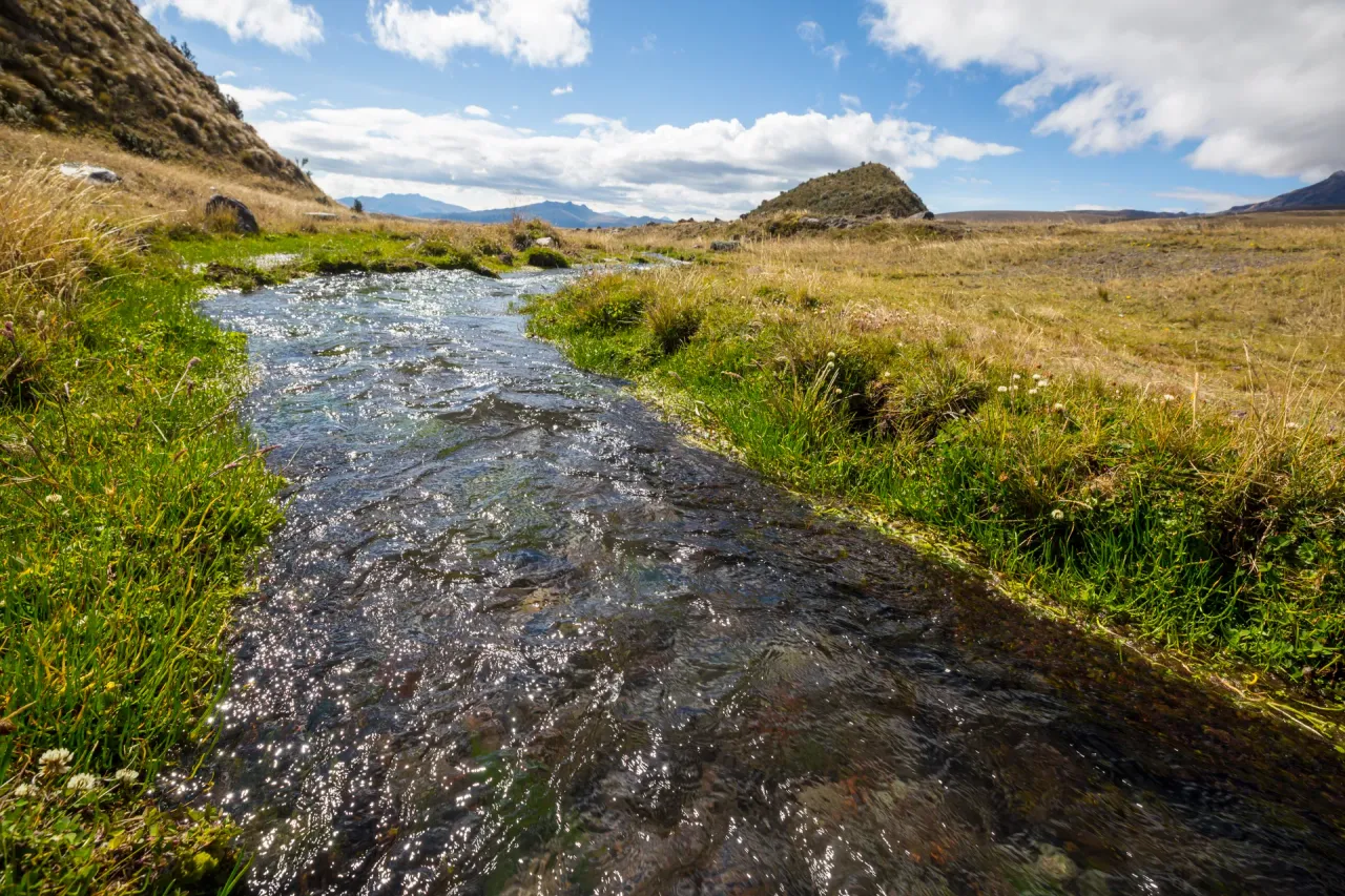 Natural stream channel through a meadow, protected by an environmental flow assessment