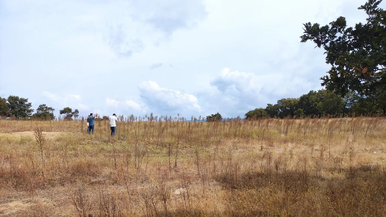 Fieldwork carried out in a project area as part of an EIA report