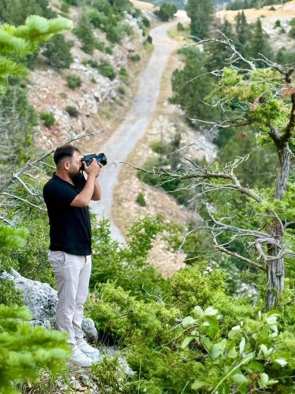 Ormanlık yamaçta fotoğraflarla flora kaydı yapan Envoloji uzmanı