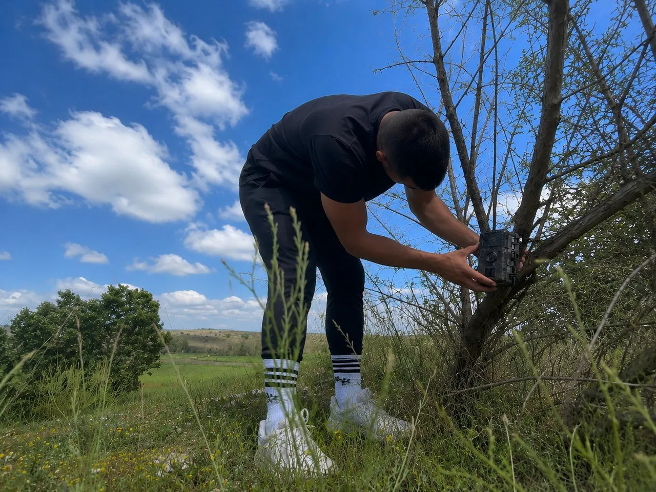 Camera trap installation for a biodiversity monitoring program