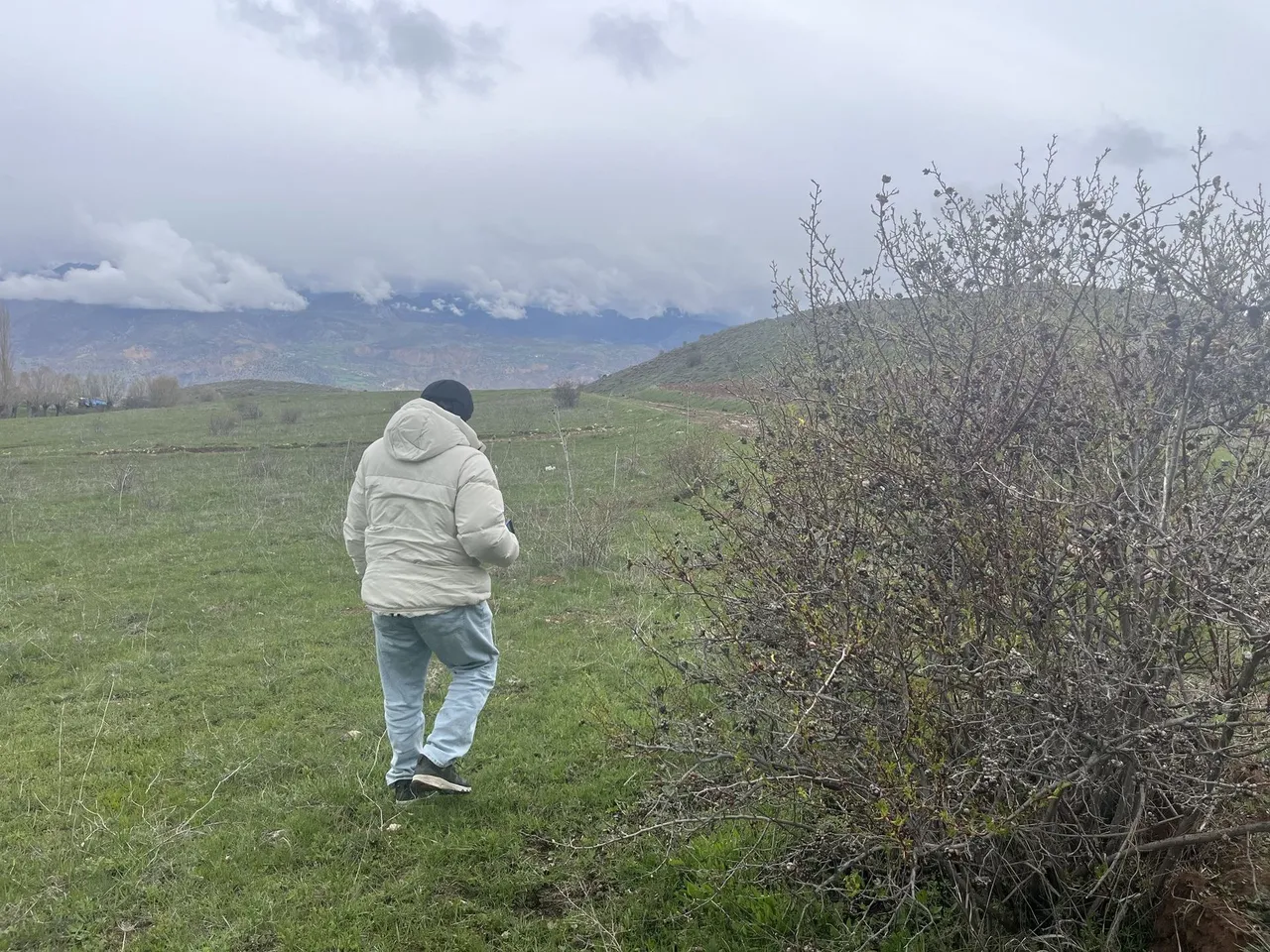 Agricultural land surveyed for an agricultural survey report